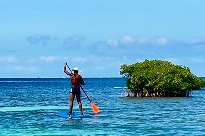 Day Lagoon 100% Sailing stops Snorkelling Paddle - Eco-friendly choices that affect the experience