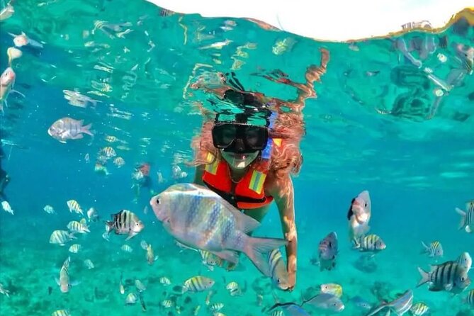 Deluxe Catamaran to Isla Mujeres with Open Bar from Cancun - Isla Mujeres in 1.5 hours
