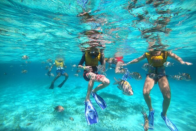Deluxe Catamaran to Isla Mujeres with Open Bar from Cancun - Beach-club lunch and the reality of the buffet