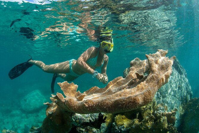 Deluxe Half-Day Snorkel Sail on Lady Grace Luxury Catamaran - Practical details that can save you trouble