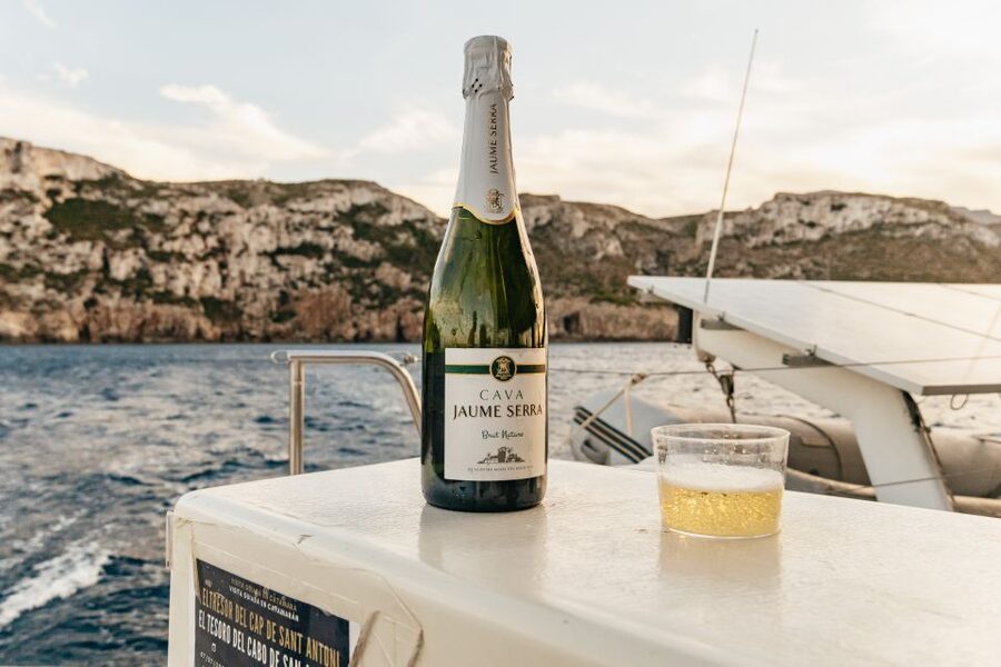Dénia: Daytime or Sunset Catamaran Cruise - Why the price works for families