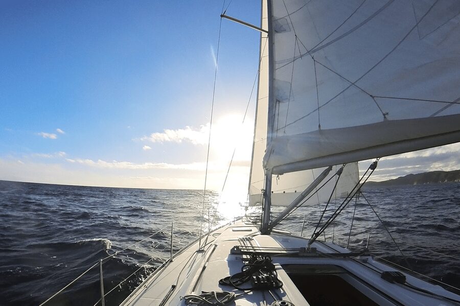 Denia: Sunset Electric Sailboat Cruise with Dolphin Spotting - Key points to know before you book