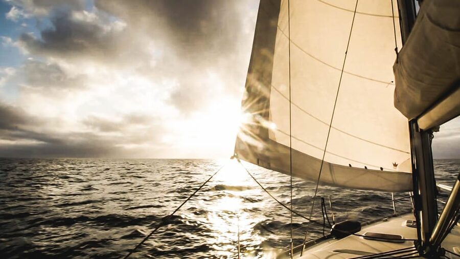 Denia: Sunset Electric Sailboat Cruise with Dolphin Spotting - Searching for dolphins and whales