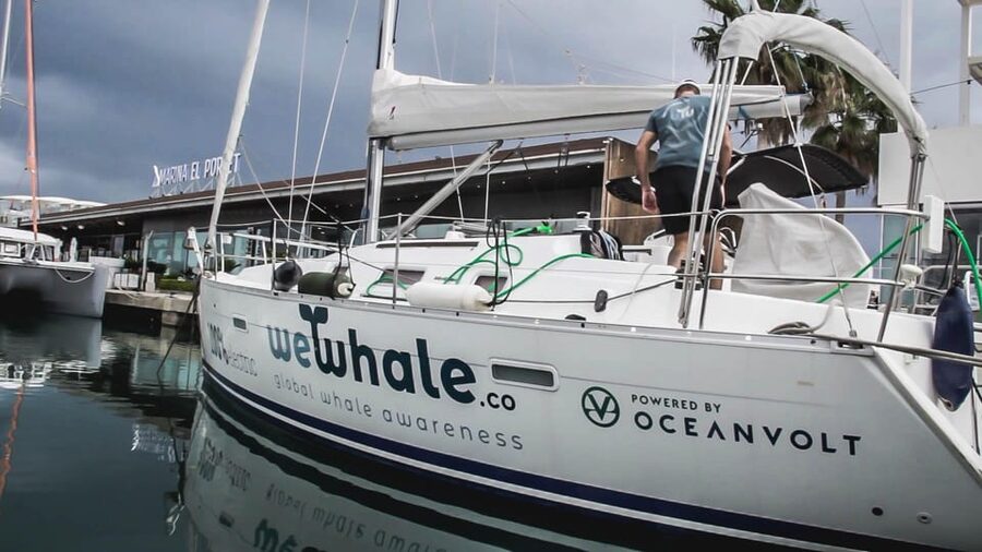 Denia: Sunset Electric Sailboat Cruise with Dolphin Spotting - Who should book this Denia cruise?