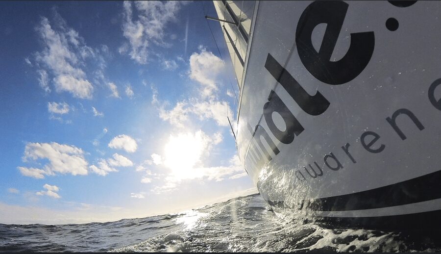 Denia: Sunset Electric Sailboat Cruise with Dolphin Spotting - What the 2.5-hour cruise feels like