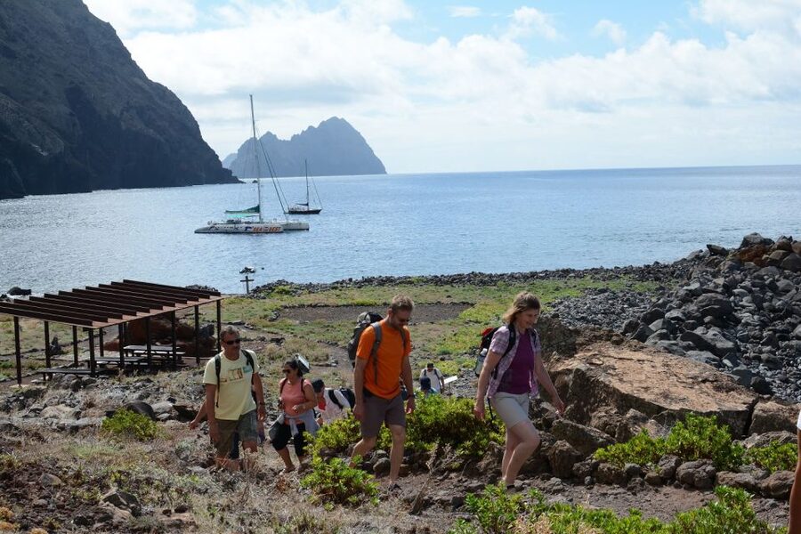 Desertas Islands Full-Day Catamaran Trip from Funchal - Wildlife sightings are a bonus, not the main promise