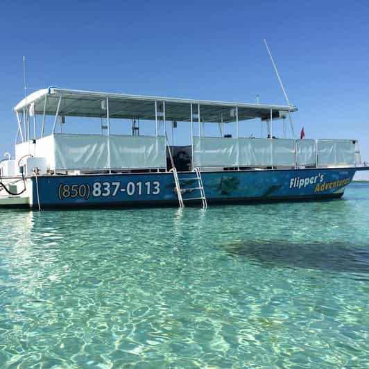 Destin: Crab Island Catamaran Tour with Dolphin Watching - Practical packing advice for a smoother outing