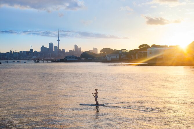 Discover Auckland City Tour: The City of Sails - Auckland from three volcanic viewpoints