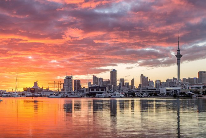 Discover Auckland City Tour: The City of Sails - Mount Eden and the city spread below