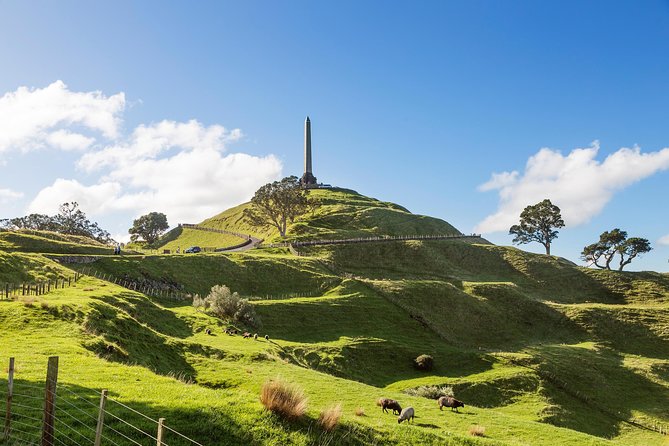 Discover Auckland City Tour: The City of Sails - What the three-hour schedule really means