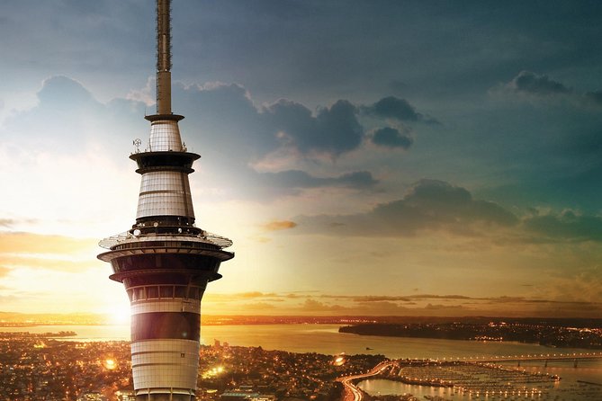 Discover Auckland City Tour: The City of Sails - The vehicle, group size, and guide service