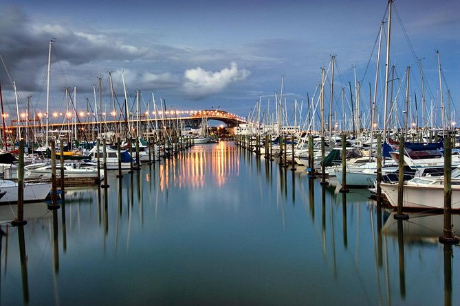 Discover Auckland City Tour: The City of Sails - Is $108.60 good value?