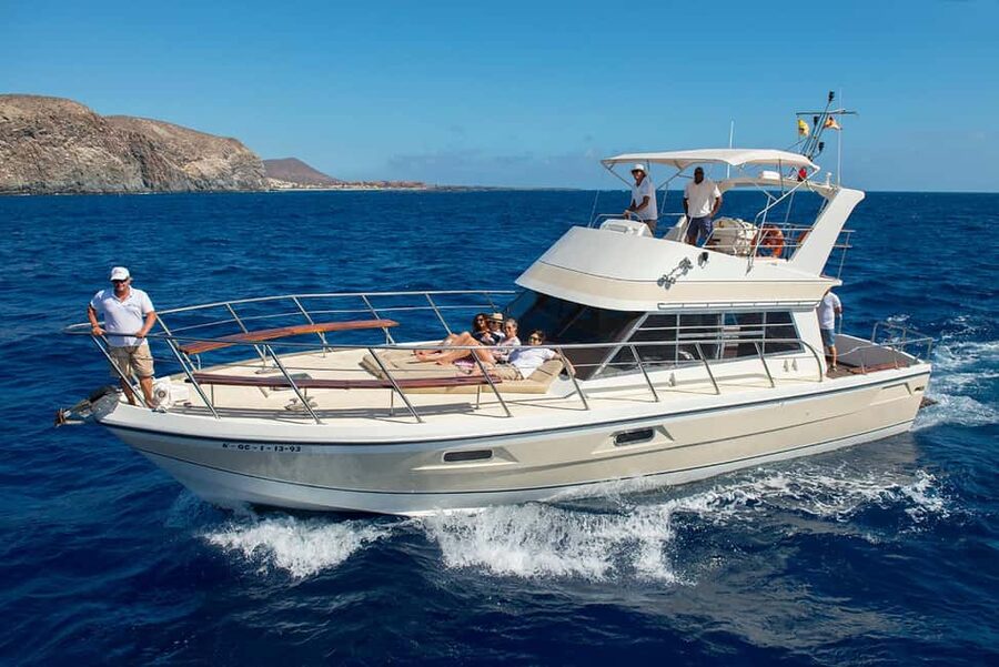 Discover whales in Tenerife: exclusive yacht tour with swim and lunch - Key points at a glance