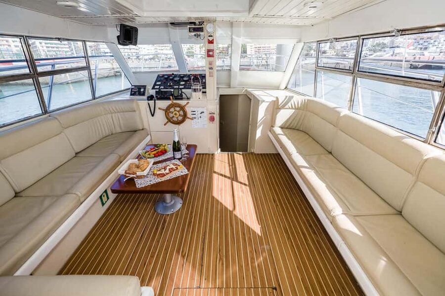 Discover whales in Tenerife: exclusive yacht tour with swim and lunch - Booking and planning advice
