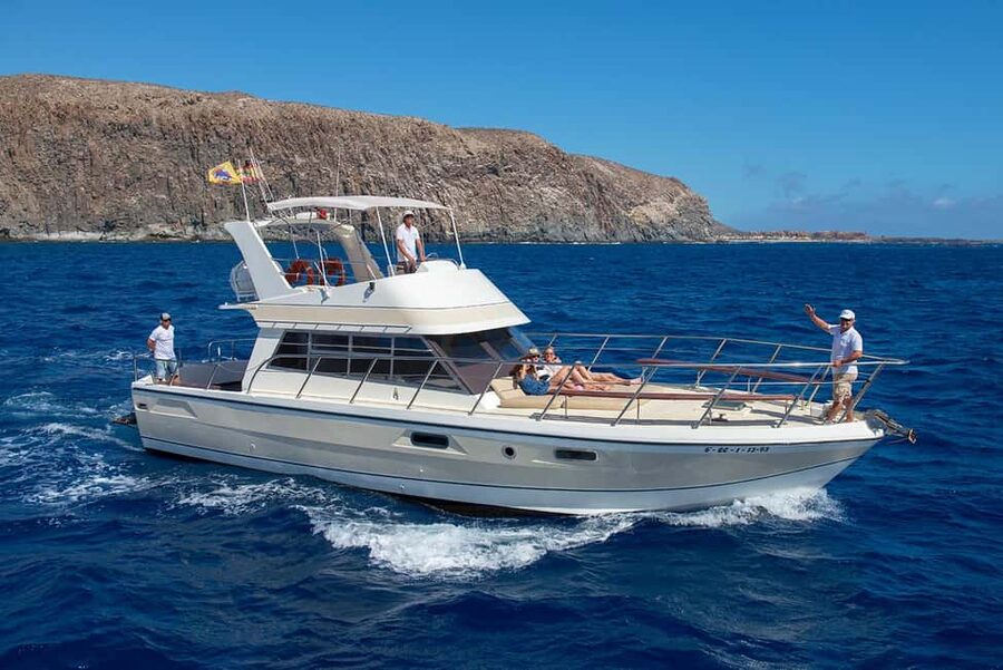 Discover whales in Tenerife: exclusive yacht tour with swim and lunch - A small yacht makes a big difference