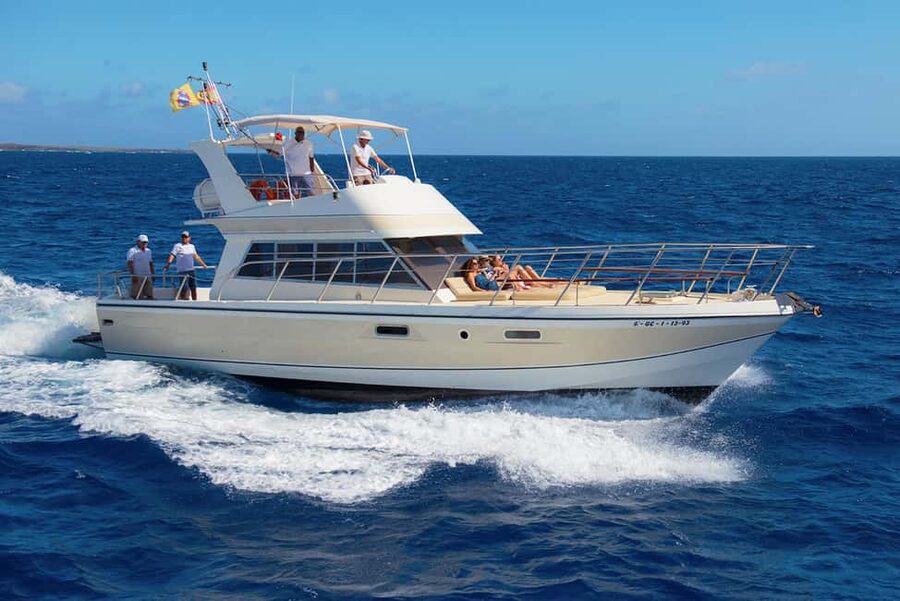 Discover whales in Tenerife: exclusive yacht tour with swim and lunch - What responsible whale watching looks like here