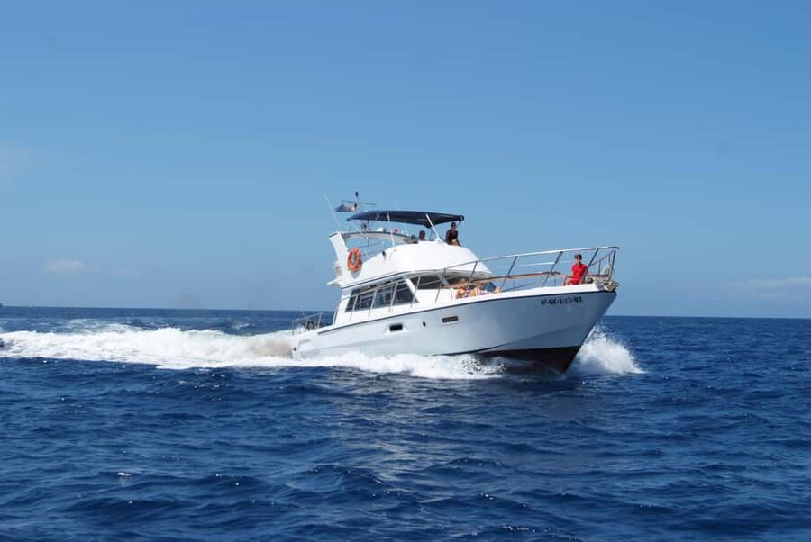 Discover whales in Tenerife: exclusive yacht tour with swim and lunch - The swim stop in a sheltered bay