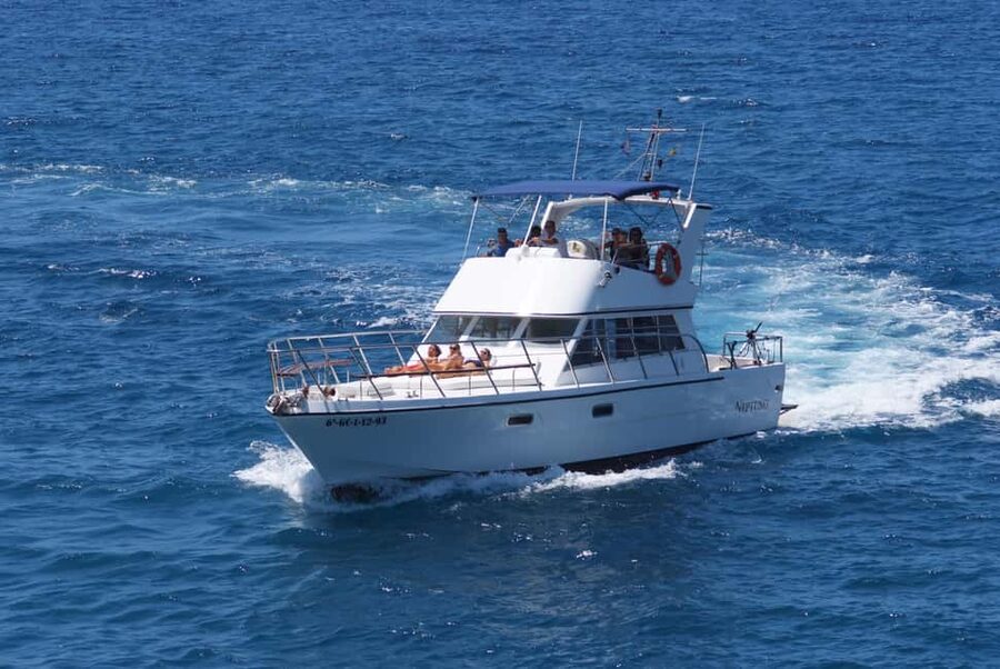 Discover whales in Tenerife: exclusive yacht tour with swim and lunch - Is $68 good value?