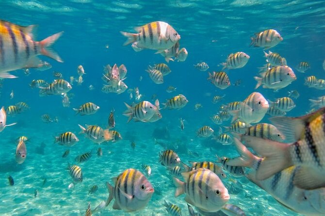 Discovering Isla Mujeres on a Double Decker Catamaran - Snorkeling MUSA and the coral reef