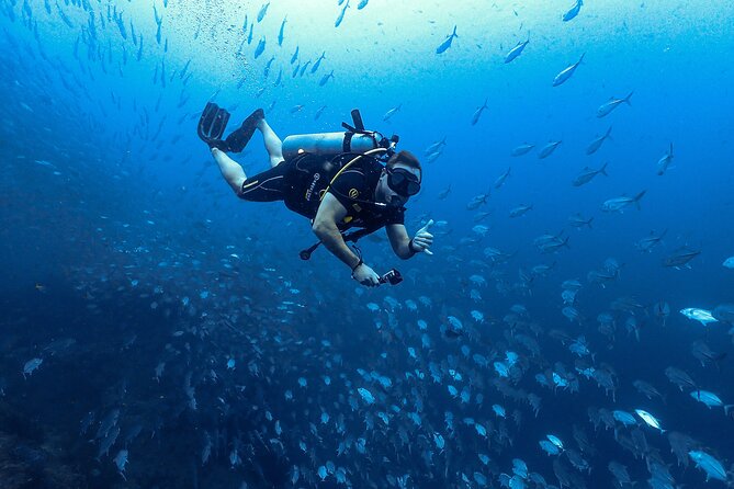 Diving Tour for Certified Divers: Sail Rock or Koh Tao - Booking timing and cancellation details