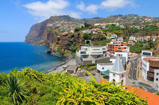 Dolphin and Whale Watching Catamaran Cruise from Funchal - Key points to know before you book