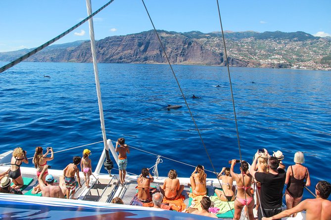 Dolphin and Whale Watching Catamaran Cruise from Funchal - Leaving Funchal Marina for the south coast
