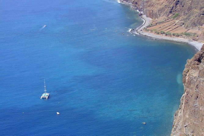 Dolphin and Whale Watching Catamaran Cruise from Funchal - Cabo Girão and the possible swimming stop