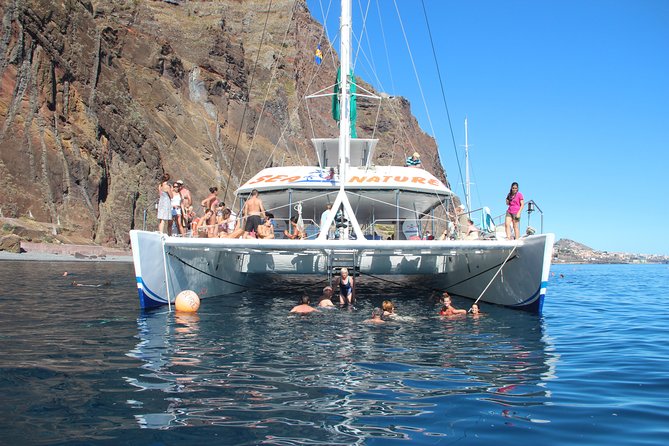 Dolphin and Whale Watching Catamaran Cruise from Funchal - Who will enjoy this cruise most?