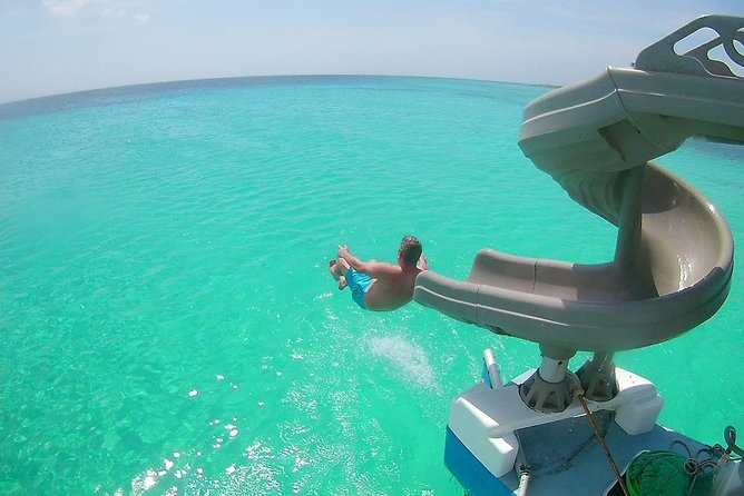 Dolphin Catamaran Snorkel and Sail with Open Bar - Quick take: what makes this cruise worth considering