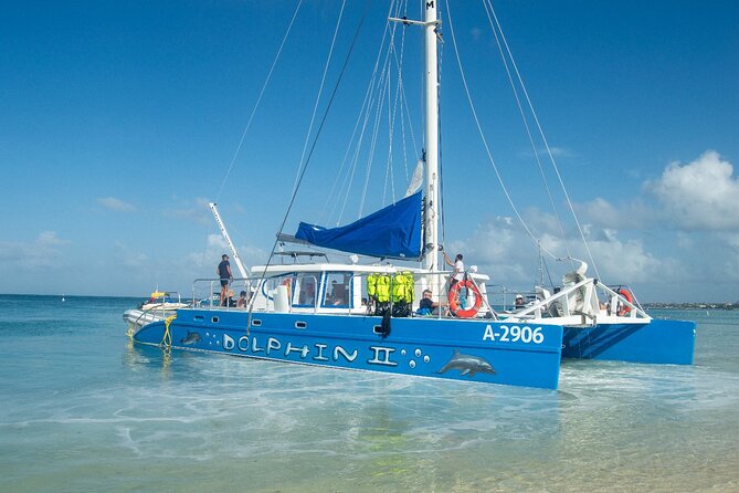 Dolphin Catamaran Snorkel and Sail with Open Bar - Is $69 a good value?