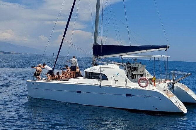 Dolphin trips on a catamaran - Key points to know before booking