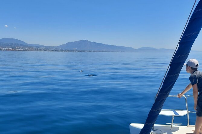 Dolphin trips on a catamaran - Swimming in the open sea