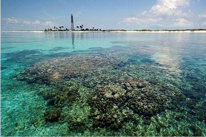 Dry Tortugas National Park Day Trip by Catamaran from Key West - Fort Jefferson and the stories inside its walls