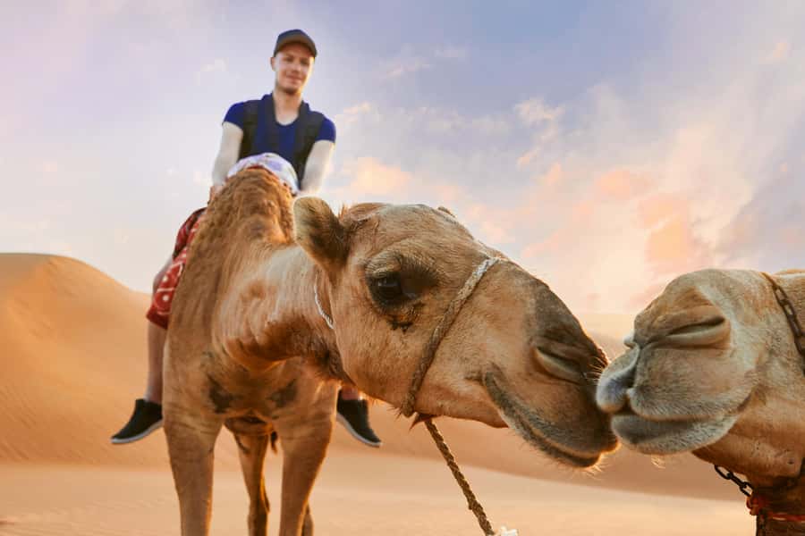 Dubai Waves & Dunes: Luxury Yacht Cruise w/ Red Dunes Safari - Who should book this experience