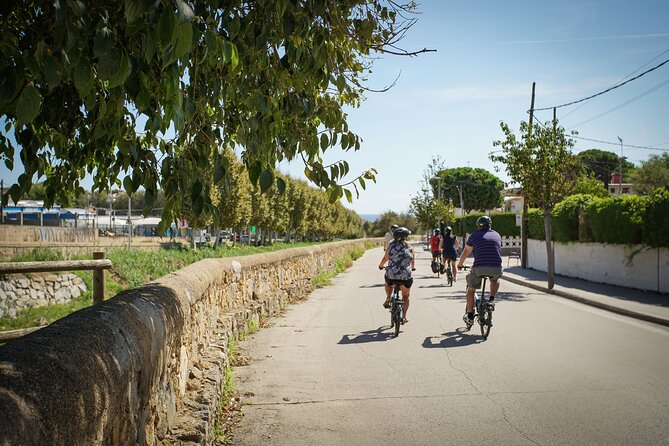 Ebike Tour, Winery, Wine Tasting & Sailing Experience(car option) - Who Will Enjoy This Best
