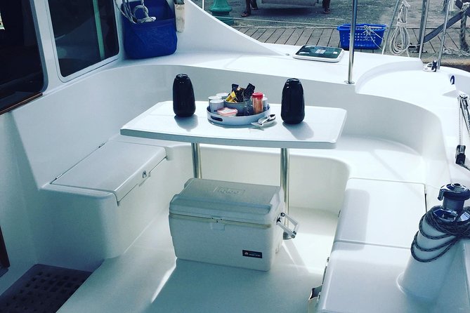 Elegance Catamaran turtles swim and lunch cruise - The best parts of the Elegance Catamaran cruise