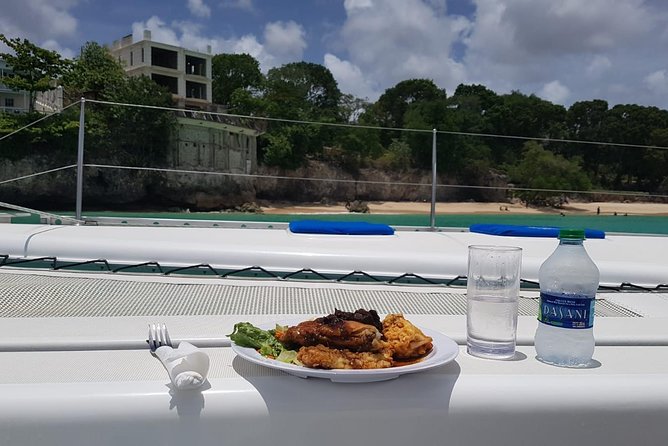 Elegance Catamaran turtles swim and lunch cruise - A small catamaran with a clear purpose