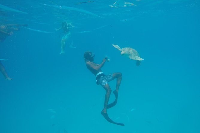 Elegance Catamaran turtles swim and lunch cruise - Who will enjoy this cruise most
