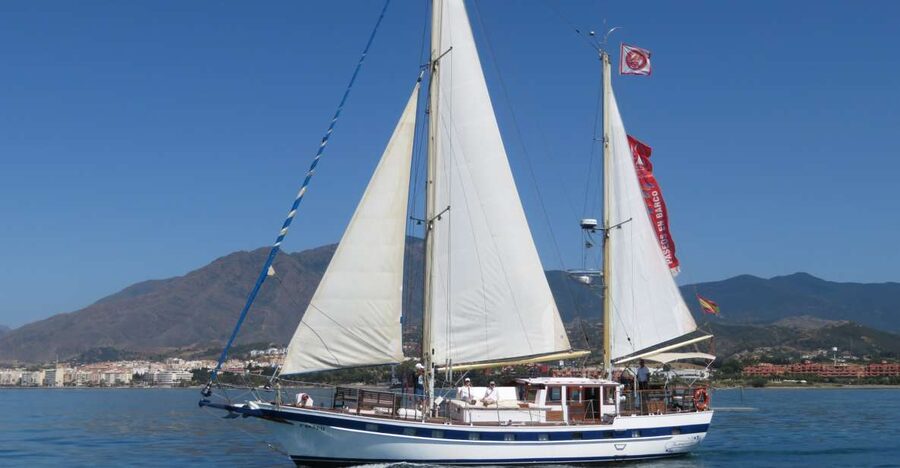 Estepona: Dolphin Watching Sailboat Cruise with Drink - Searching Estepona Bay for Dolphins