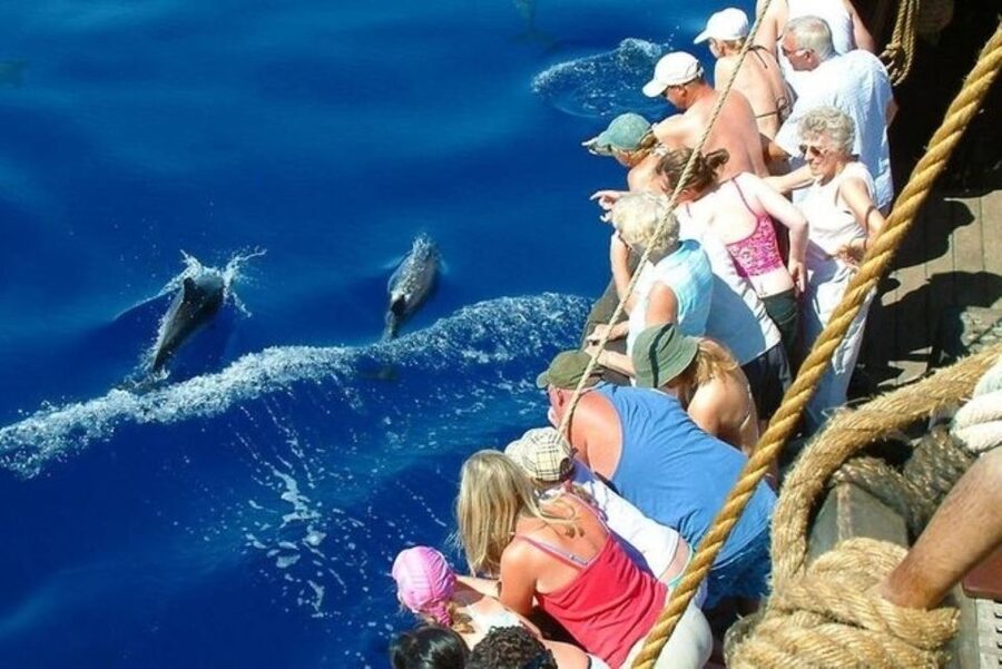 Explore Alanya's Beauty Catamaran Boat Tour - Lunch on board and the Cleopatra Beach visit