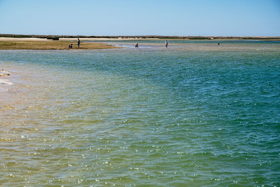 Faro: Deserta Island and Farol Island Catamaran Boat Trip - Who will enjoy this Faro boat trip most?