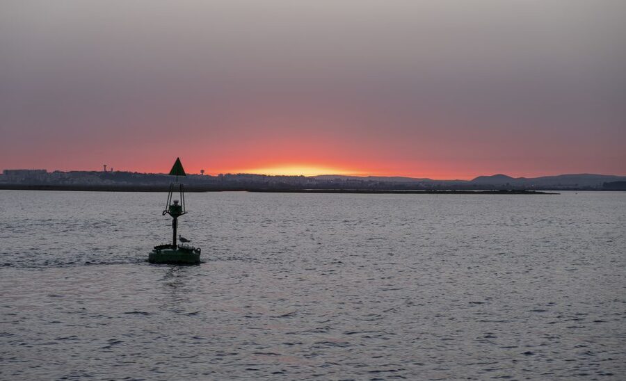 Faro: Ria Formosa Guided Sunset Tour by Catamaran - Why this short Faro cruise works so well