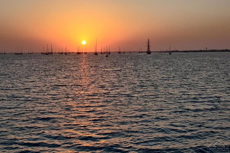 Faro: Ria Formosa Guided Sunset Tour by Catamaran - Who will enjoy this ride most