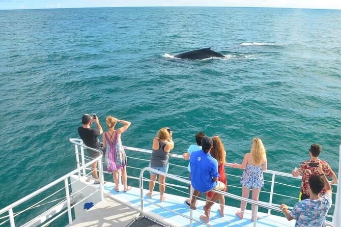 Flamingo Family Fun Catamaran Snorkel:Comfortable shaded seating - A boat built for mixed-age groups