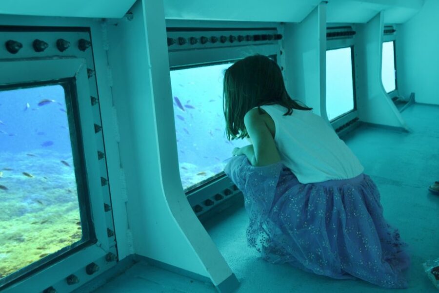 Font de Sa Cala: East Coast Glass-Bottomed Catamaran Tour - How useful is the glass bottom?