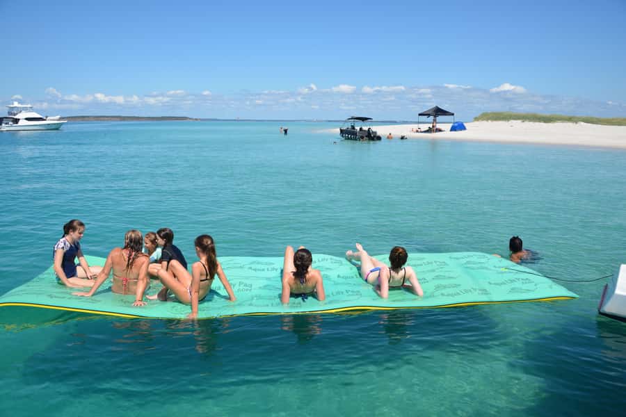 Fraser Island 4-Hour Eco-Sailing Adventure - Searching the Great Sandy Strait for dolphins and dugongs
