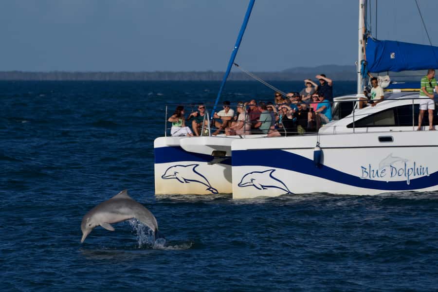 Fraser Island 4-Hour Eco-Sailing Adventure - AquaMat and boom net: simple fun on the water