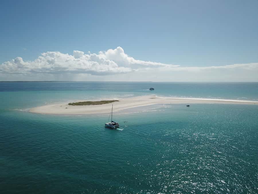 Fraser Island 4-Hour Eco-Sailing Adventure - The crew and the quality of the commentary