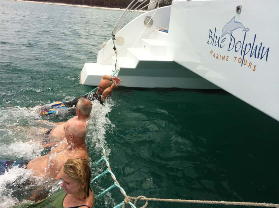 Fraser Island 4-Hour Eco-Sailing Adventure - Is $77 good value?