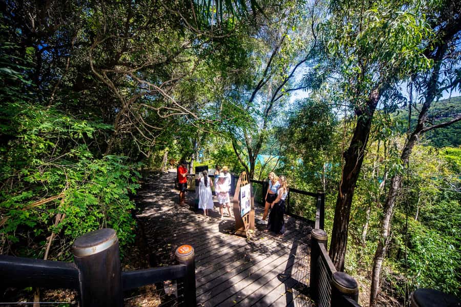 From Airlie Beach: Hook Island Cultural Tour, Sail & Snorkel - The comfort question: elegant, but not fully accessible